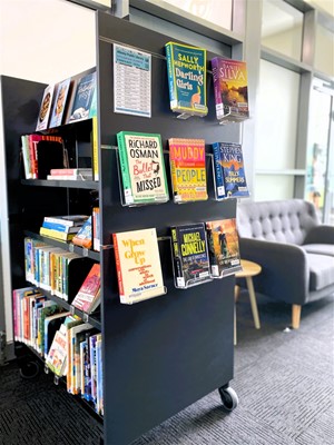 Albany Micro Libraries - IMG_6535