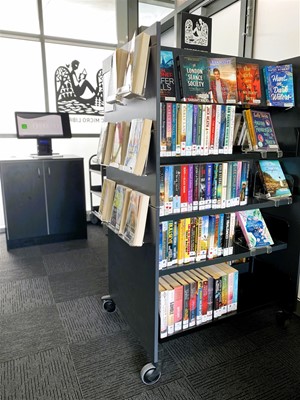 Albany Micro Libraries - IMG_6539