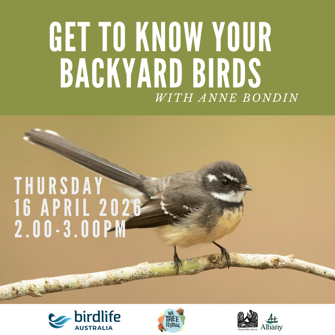 Get to Know Your Backyard Birds