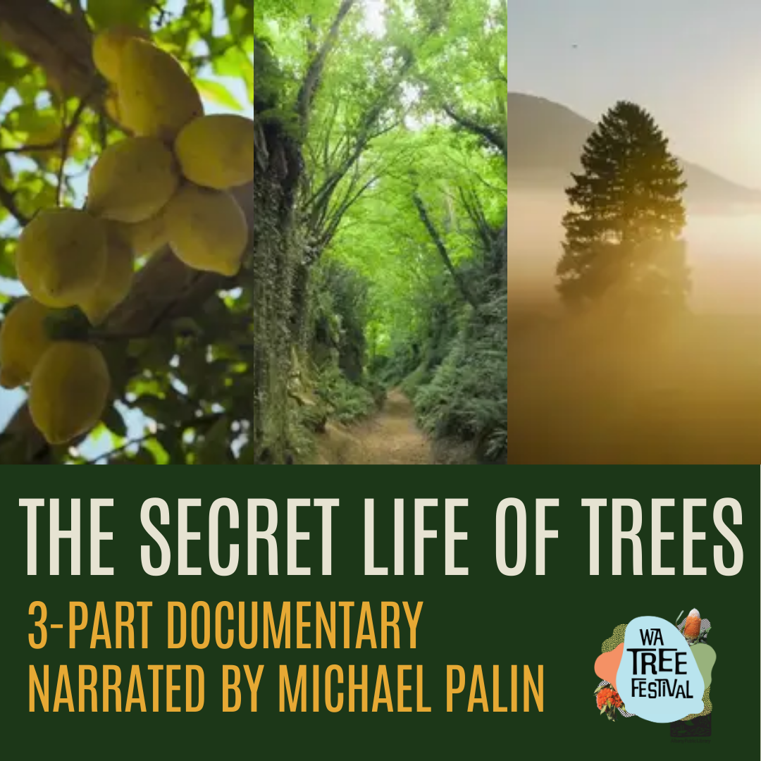 The Secret Life of Trees