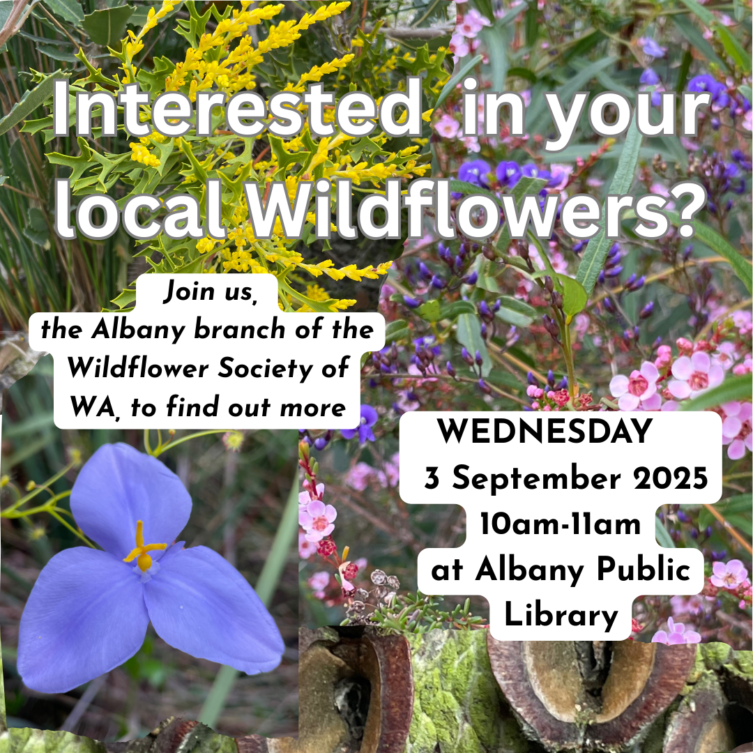 Interested in your local Wildflowers?