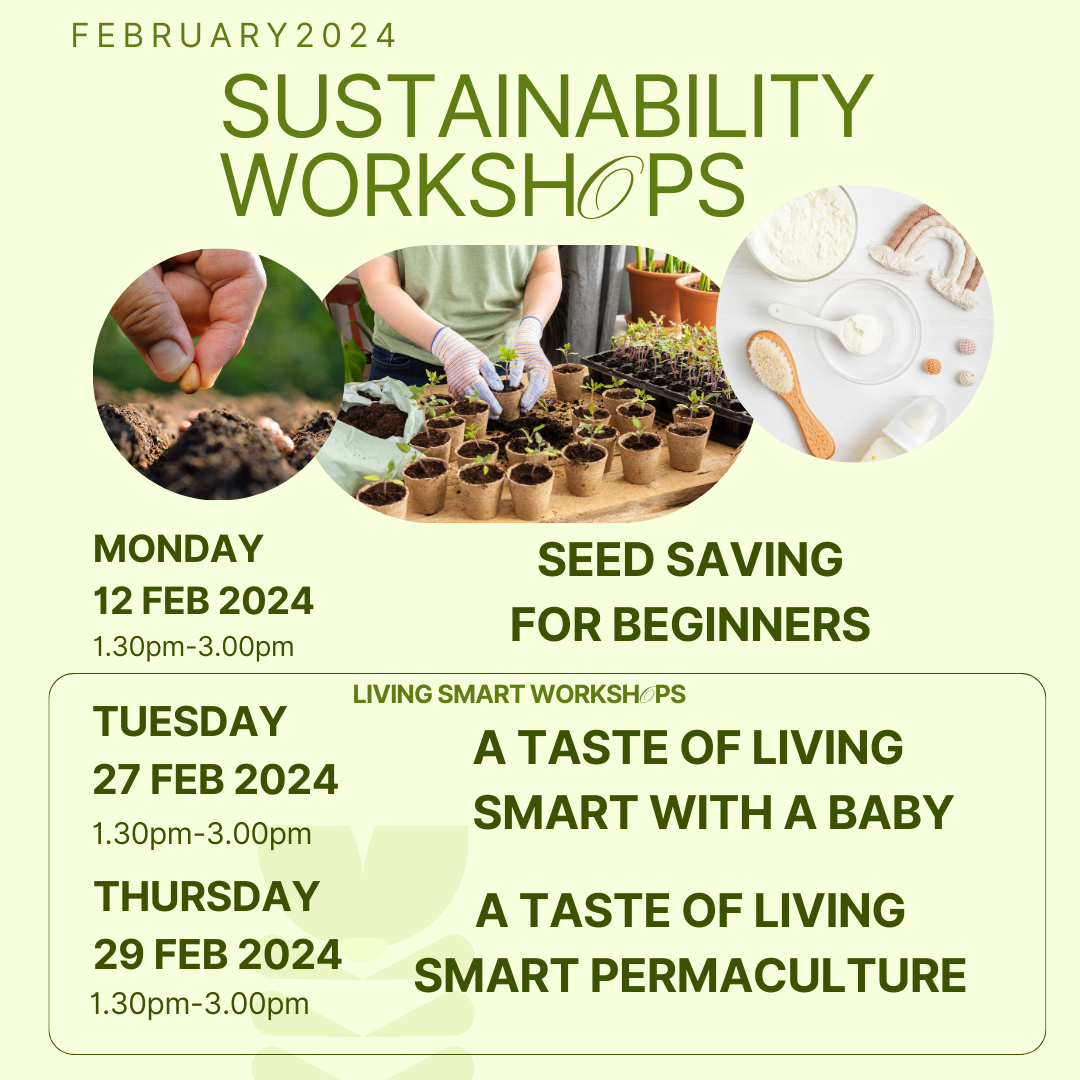 Sustainability Workshops