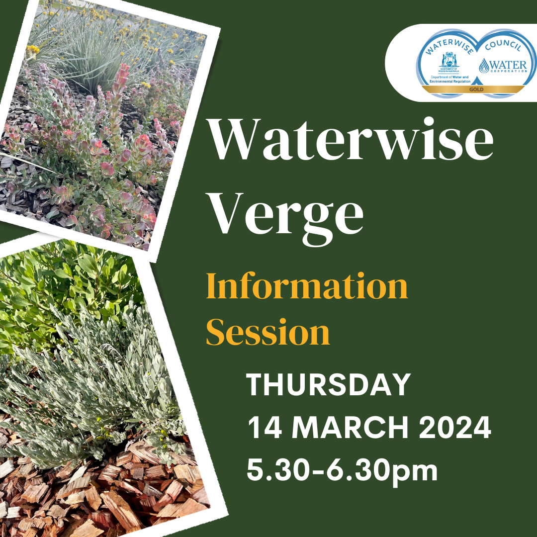 Waterwise Verge Information Session
