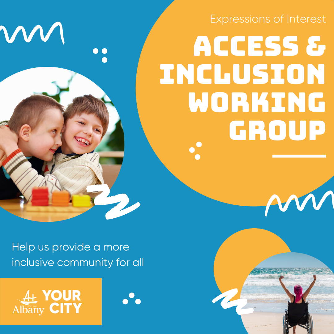 Call for Access and Inclusion Working Group Members